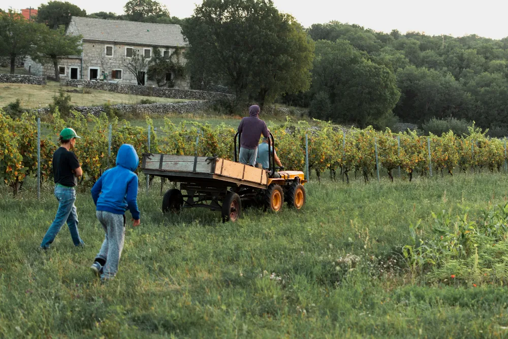 agricultura transporte