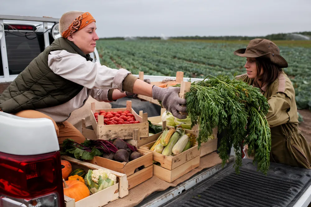 agricultura transporte